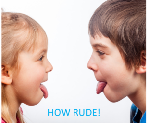 Managing Interpersonal Dynamics in Teams: What is Rude?