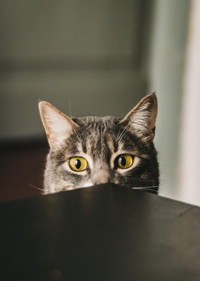 Sneak Attacks on Key Processes: Agile
